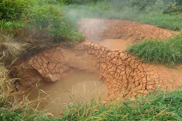 Gemelos Bliznetsy Mudpot en Valle de los Géiseres . —  Fotos de Stock