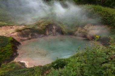 Valley Geysers havuzda Goluboy mavi.