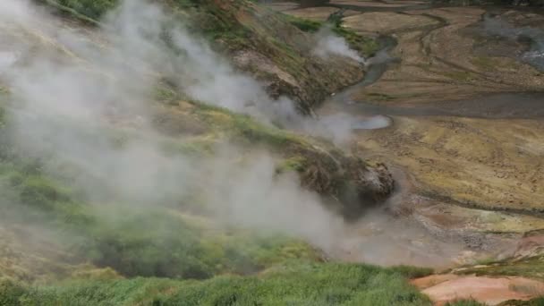 Долина гейзерів на Камчатці — стокове відео