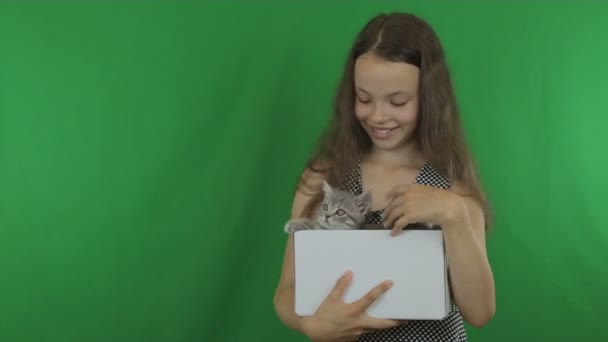 美丽的女孩与小猫苏格兰折上绿色屏幕素材视频通信 — 图库视频影像