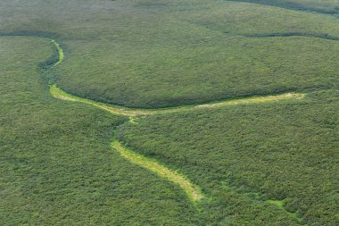 Doğal desenler havadan görünümü. Güney Kamçatka doğa parkı.