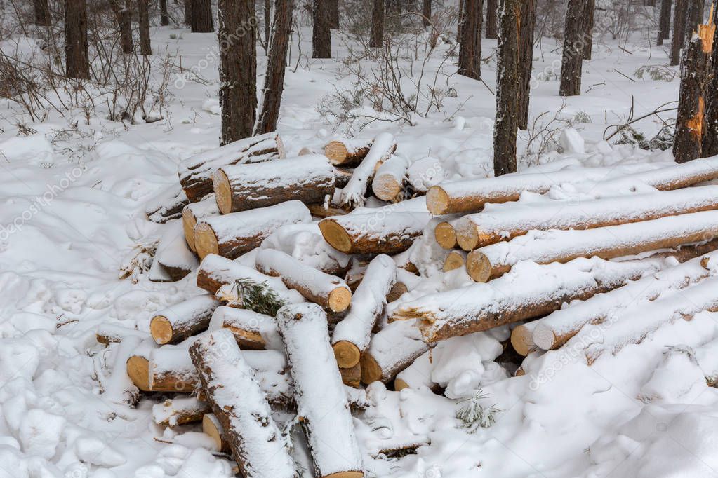 depositphotos_130433698-stock-photo-snow