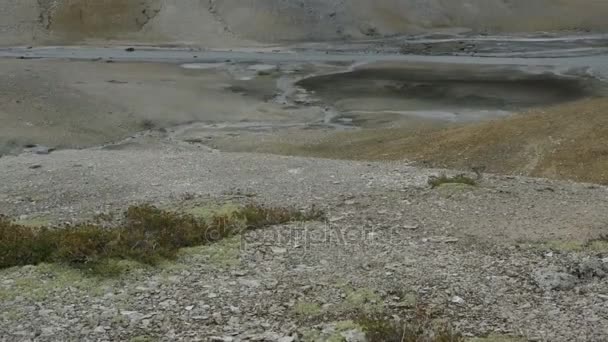 Caldera Uzon sur le territoire de la réserve naturelle de Kronotsky images du stock vidéo — Video