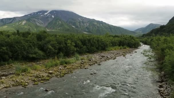 Rivière glaciaire parmi les volcans . — Video