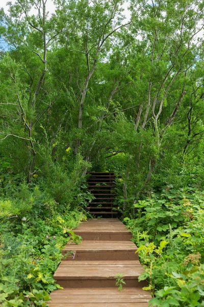 Sendero de madera en Valle de los Géiseres . — Foto de Stock