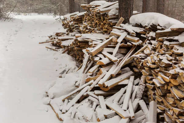 Drewno pokryte śniegiem ogień w lesie sosnowym. — Zdjęcie stockowe