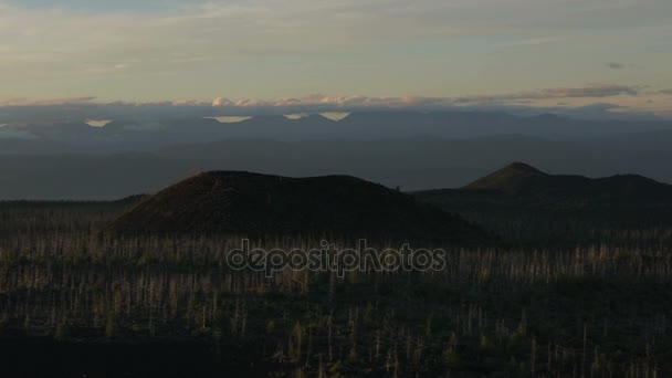 Dead Forest near volcanoes. — Stock Video