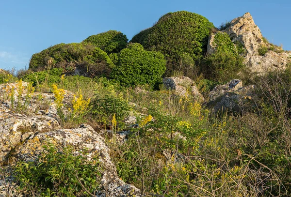 Parco regionale di paesaggio di Karalar nel Crimea . — Foto Stock