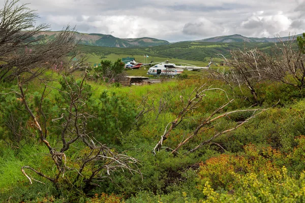 Un hélicoptère a atterri dans l'Uzon Caldera. Réserve naturelle de Kronotsky sur la péninsule du Kamchatka . — Photo