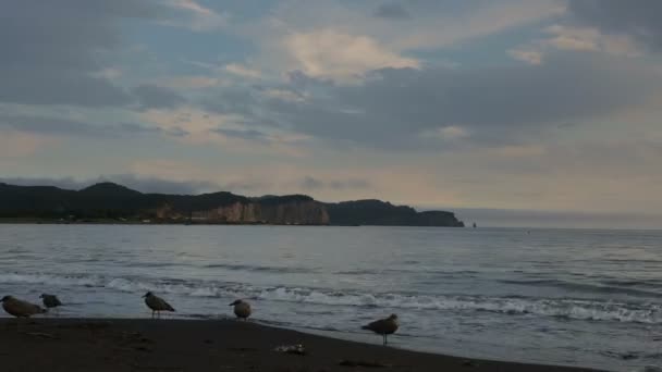 Coucher de soleil sur l'océan Pacifique dans la baie Zavoiko . — Video