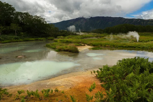 Campo hidrotérmico na Caldeira de Uzon. Reserva Natural de Kronotsky — Fotografia de Stock