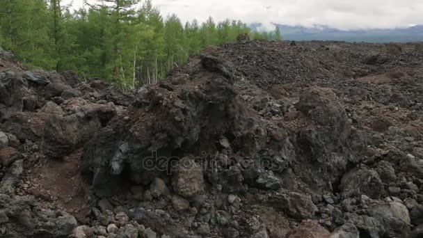 Fagyasztott láva mezők, a nagy Tolbachik hasadék kitörés stock footage videóinak — Stock videók