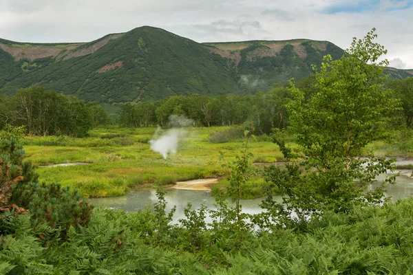 Beautiful summer landscape in the Uzon Caldera. Kronotsky Nature Reserve — Stock Photo, Image
