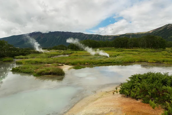 Campo hidrotérmico na Caldeira de Uzon. Reserva Natural de Kronotsky — Fotografia de Stock