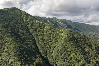 Kronotsky doğa rezerv Kamçatka Yarımadası üzerinde. Helikopterden görüntülemek.