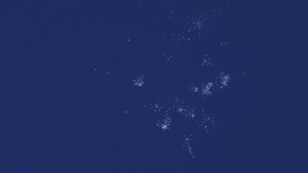 Belos fogos de artifício no fundo do céu azul . — Vídeo de Stock