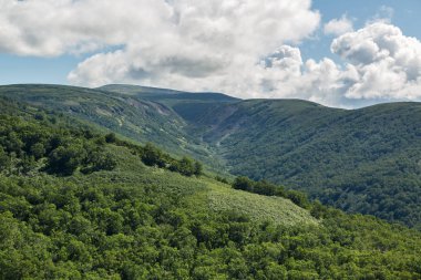 Kronotsky doğa rezerv Kamçatka Yarımadası üzerinde. Helikopterden görüntülemek.