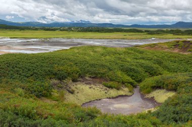 Uzon Caldera hidrotermal alanında. Kronotsky doğa rezerv