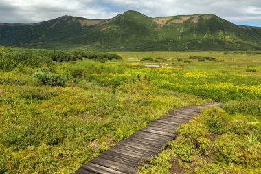 Uzon Caldera ahşap yolundaki. Kronotsky doğa rezerv