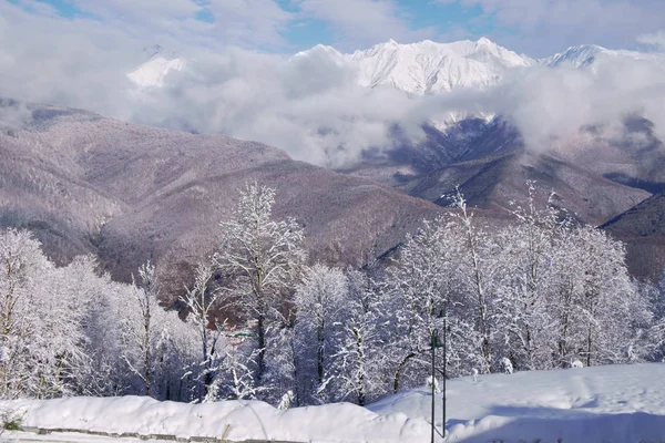 North slope Aibga Ridge Westelijke Kaukasus in skioord Gorky Gorod — Stockfoto
