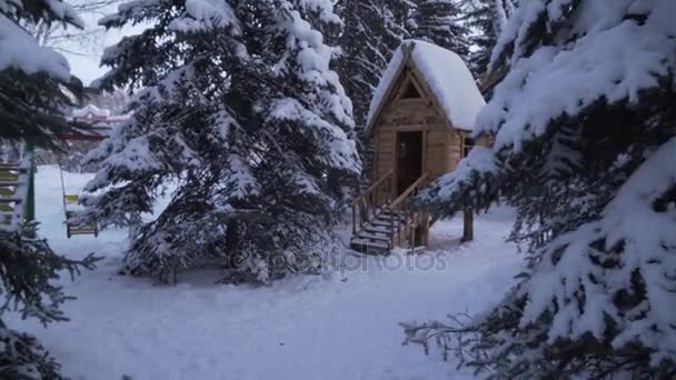 Cabane de fées sur les cuisses de poulet dans la forêt d'hiver stock vidéo — Video