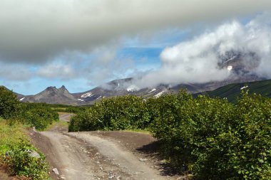 Road along dry river to Avachinskaya group Volcano on Kamchatka Peninsula clipart