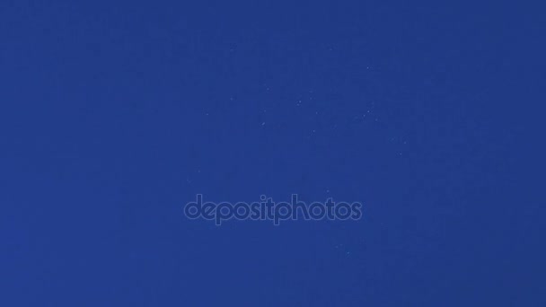 Hermosos fuegos artificiales en el fondo del cielo azul . — Vídeos de Stock