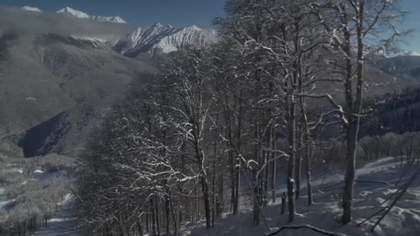 Encosta norte Aibga Ridge of Western Caucasus em Rosa Khutor Alpine Resort imagens de vídeo — Vídeo de Stock