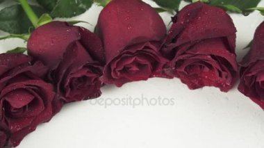 Kırmızı gül beyaz arka plan ağır çekim stok görüntüleri video üzerinde Su damlacıkları ile yuvarlak çerçeve