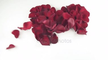 Beyaz arka plan ağır çekim stok görüntüleri video rüzgarla tarafından uçurulmuş kırmızı gül yaprakları kalp şekli