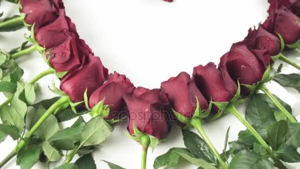 Telaio a forma di cuore di rose rosse con goccioline d'acqua su uno sfondo bianco stock filmato video — Video Stock