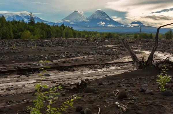 Vista de volcanes: Klyuchevskaya Sopka, Bezymianny, Kamen desde el río Studenaya al amanecer. Península de Kamchatka . —  Fotos de Stock