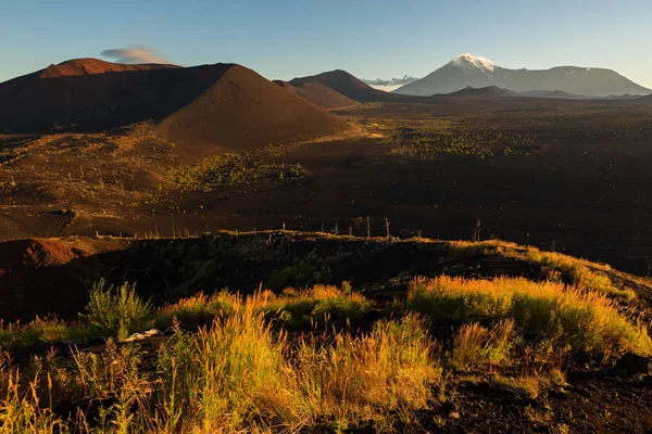 Volcanes y madera muerta al amanecer - consecuencia de la liberación catastrófica de cenizas durante la erupción del volcán en 1975 Tolbachik avance norte —  Fotos de Stock