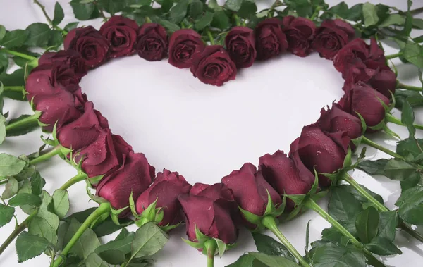 Ramki w formie serca czerwonych róż z kropelek wody na białym tle — Zdjęcie stockowe