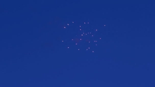 Hermosos fuegos artificiales en el fondo del cielo azul . — Vídeos de Stock