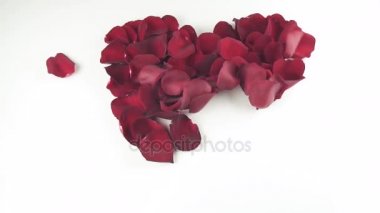 Beyaz arka plan ağır çekim stok görüntüleri video rüzgarla tarafından uçurulmuş kırmızı gül yaprakları kalp şekli