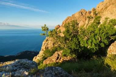 Bay Laspi Black Sea. View from the top of mountain Ilyas Kaya. clipart