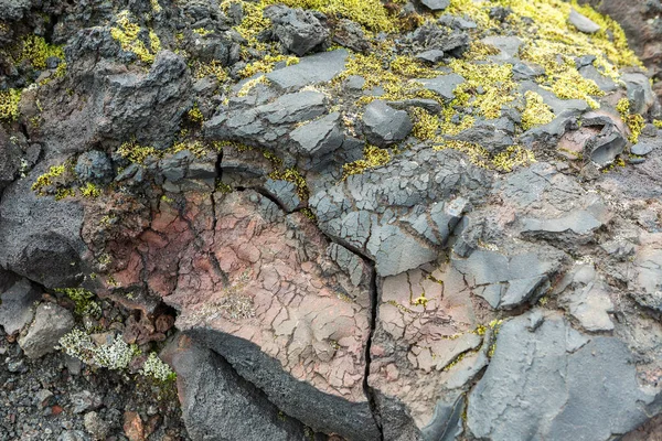 冷凍火山放出物は苔で覆われています。北画期的な素晴らしい Tolbachik 割れ目噴火 1975 — ストック写真