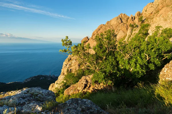 Bay Laspi Black Sea. View from the top of mountain Ilyas Kaya. — Stock Photo, Image