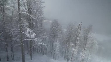 Kuzey yamaç Aibga Ridge Batı Kafkasya ski Resort Gorki Gorod stok görüntüleri video