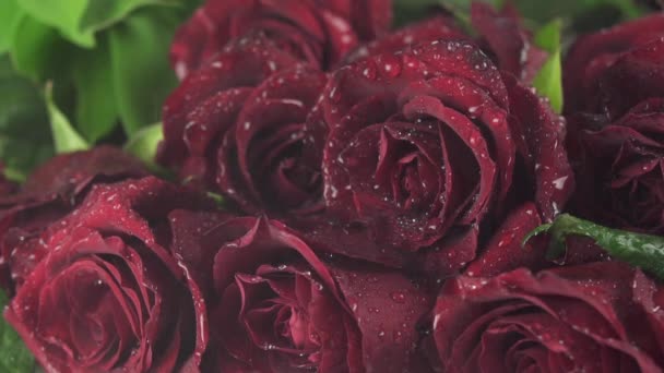 Lluvia en hermoso ramo de rosas rojas cámara lenta de archivo de vídeo — Vídeos de Stock