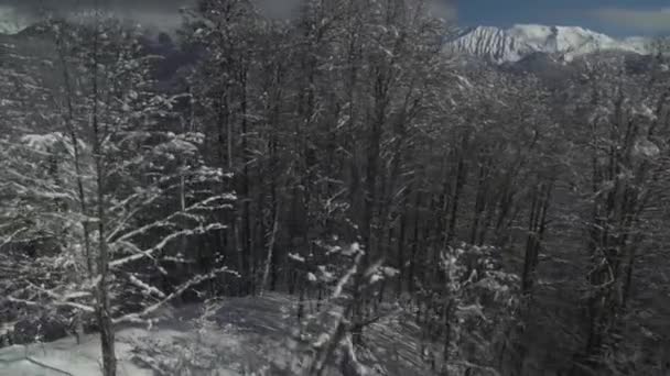 Pendiente norte Aibga Ridge del Cáucaso Occidental en Rosa Khutor Alpine Resort material de archivo de vídeo — Vídeos de Stock