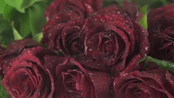 Rain on beautiful bouquet of red roses slow motion stock footage video — Stock Video