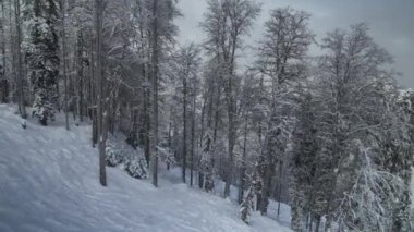 Kuzey yamaç Aibga Ridge Batı Kafkasya mevsim Resort Gorki Gorod stok görüntüleri video üzerinde kayak tesisi