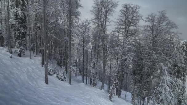 Pistas de esquí en la ladera norte Aibga Ridge Cáucaso occidental en la estación de todas las estaciones Gorky Gorod material de archivo de vídeo — Vídeos de Stock