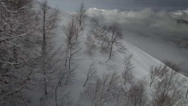 Pistas de esqui na encosta norte Aibga Ridge Cáucaso Ocidental em todo o resort temporada Gorky Gorod imagens de vídeo — Vídeo de Stock