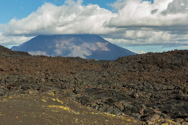 Lava veld op Tolbatsjik vulkaan, na de uitbarsting in 2012 op achtergrond grote Udina vulkaan, Kamtsjatka — Stockfoto