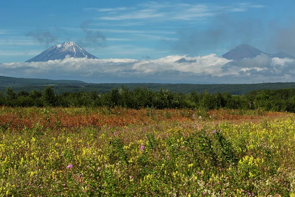 Vista de verão dos vulcões Koryaksky e Avachinsky envoltos em nuvens . — Fotografia de Stock