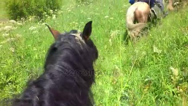 Resa på hästryggen genom skogen sommaren i Altajbergen slowmotion arkivfilmer video — Stockvideo