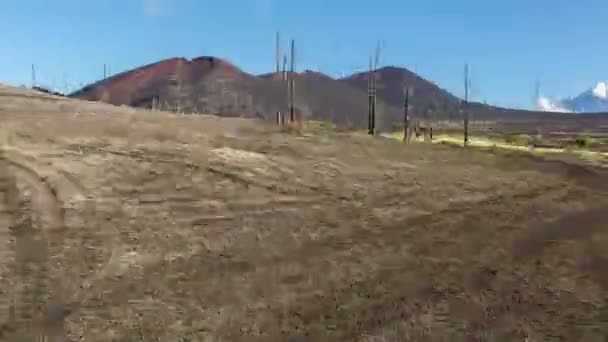 Legno morto - conseguenza della catastrofica emissione di cenere durante l'eruzione del vulcano nel 1975 Tolbachik nord svolta Timelapse stock filmato — Video Stock